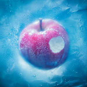 08陈冠希未删减版资源
