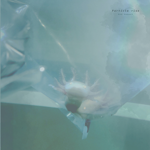 08陈冠希未删减版资源
